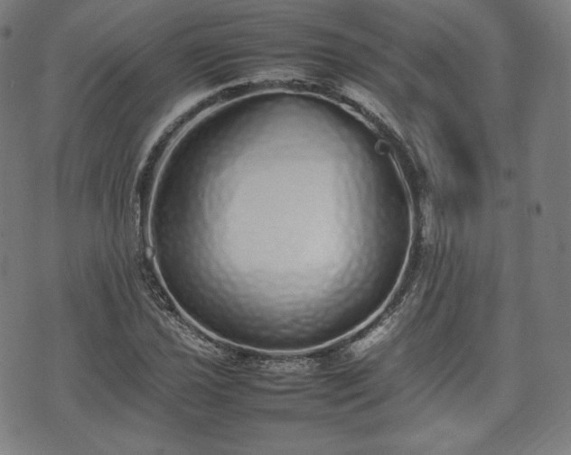 X0000075331021200609151441