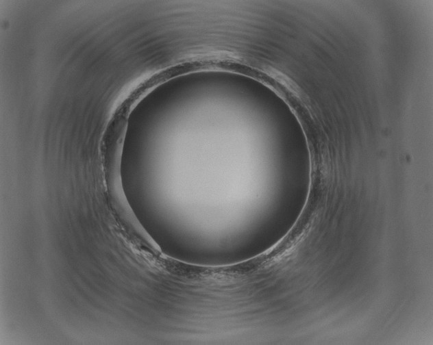 X0000075331022200609151441