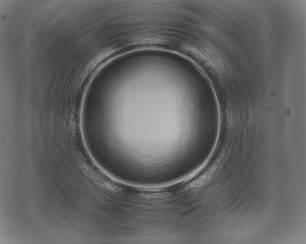 X0000075331025200609151441