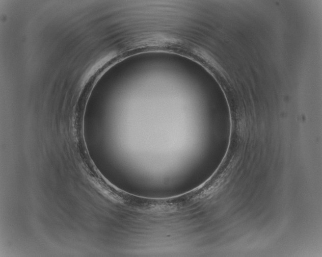 X0000075331026200609151441