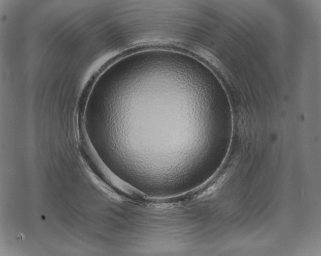 X0000075331030200609151441