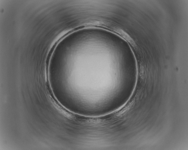 X0000075331036200609151441