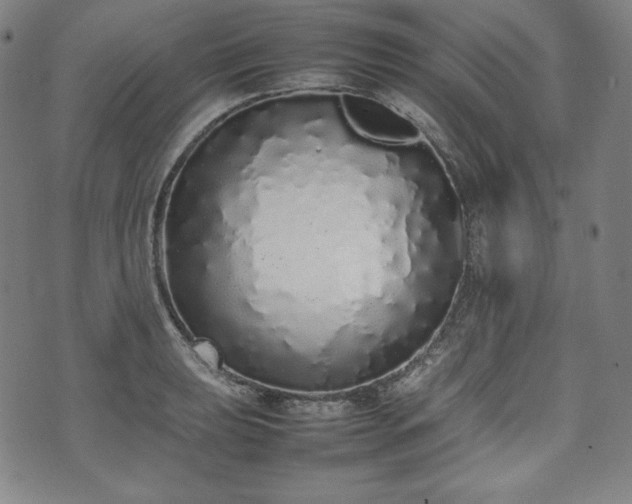 X0000075331039200609151441