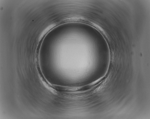 X0000075331042200609151441