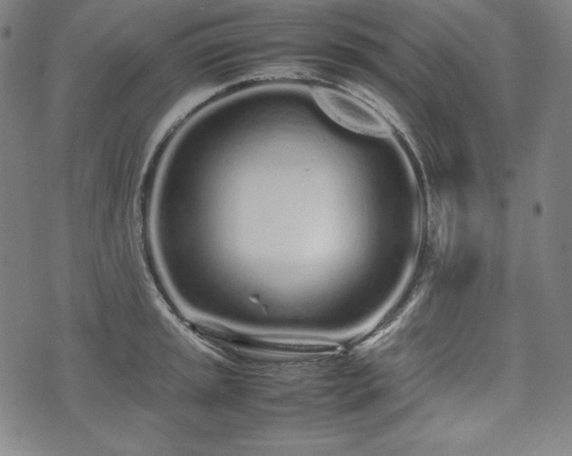 X0000075331045200609151441