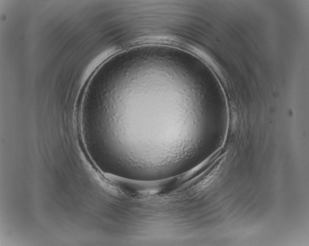 X0000075331050200609151441