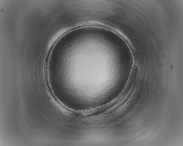 X0000075331054200609151441