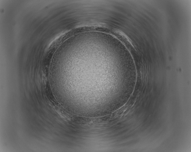 X0000075331064200609151440