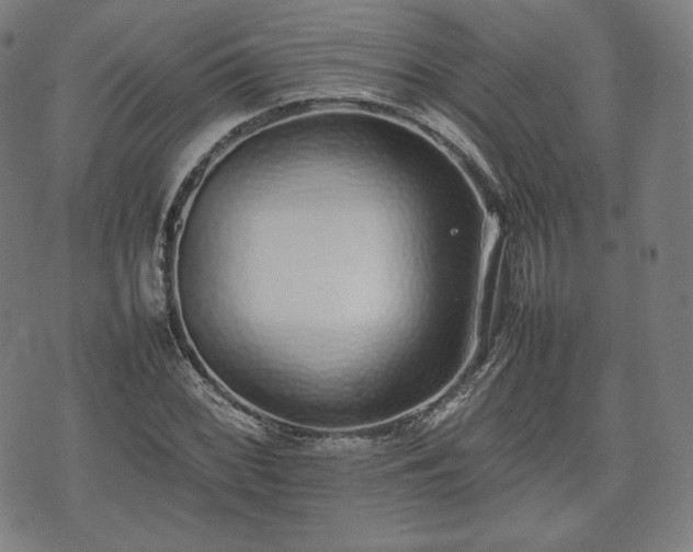 X0000075331068200609151440
