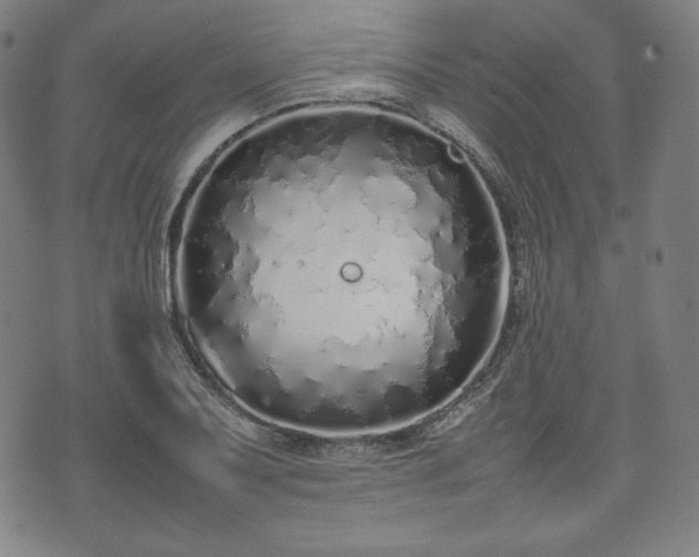 X0000075331079200609151440