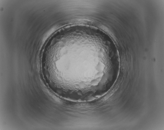 X0000075331083200609151440