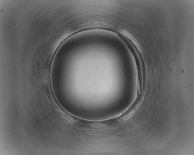 X0000075331089200609151440