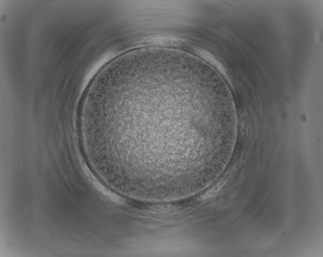 X0000075331091200609151440
