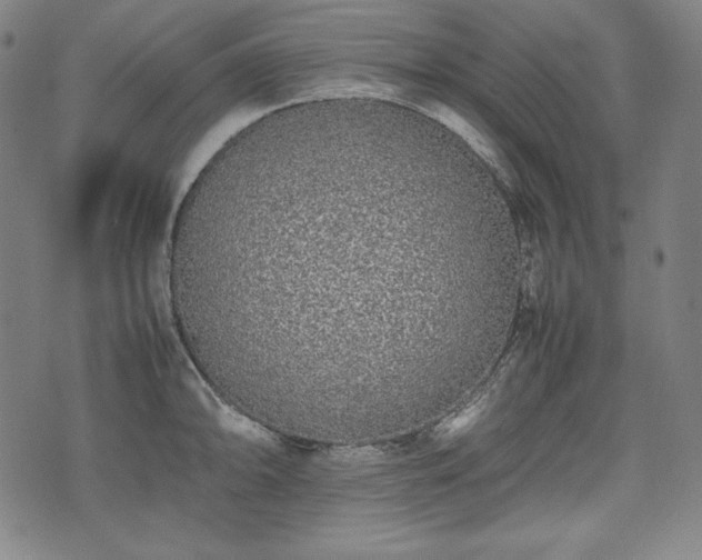 X0000075331094200609151440