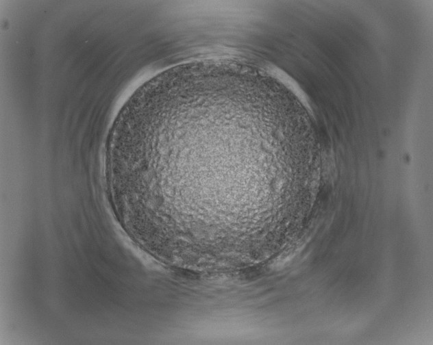 X0000075331099200609151440