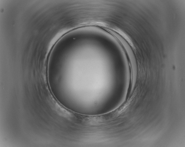 X0000075331102200609151440