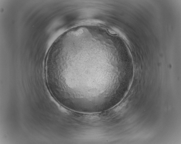 X0000075331103200609151440