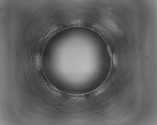 X0000075331107200609151439