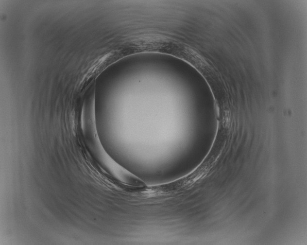 X0000075331108200609151439