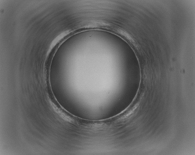 X0000075331122200609151439