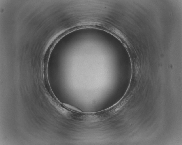 X0000075331124200609151439