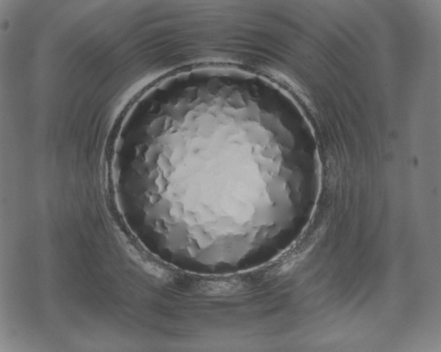 X0000075331125200609151439