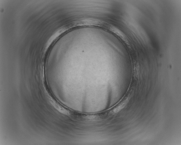 X0000075331130200609151439
