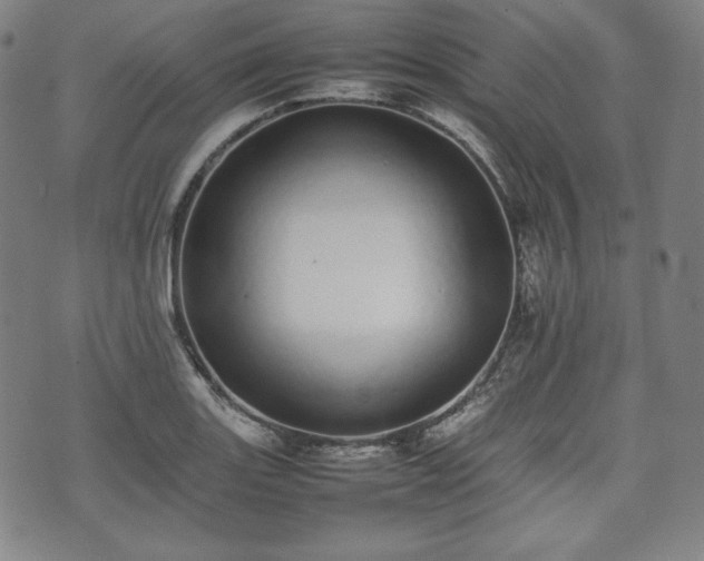 X0000075331131200609151439