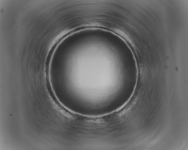 X0000075331133200609151439