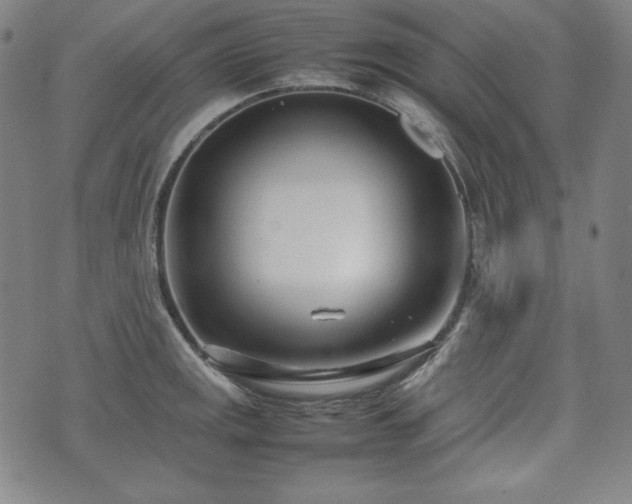 X0000075331141200609151439