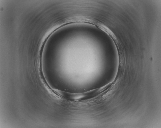 X0000075331144200609151439