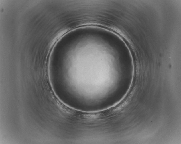 X0000075331145200609151439