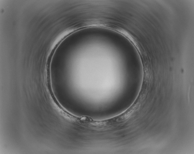 X0000075331147200609151439