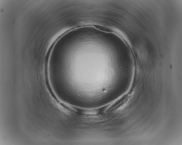 X0000075331149200609151439