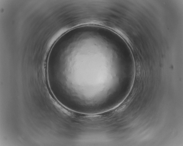 X0000075331151200609151440