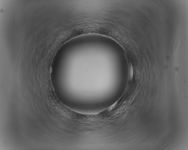 X0000075331153200609151439