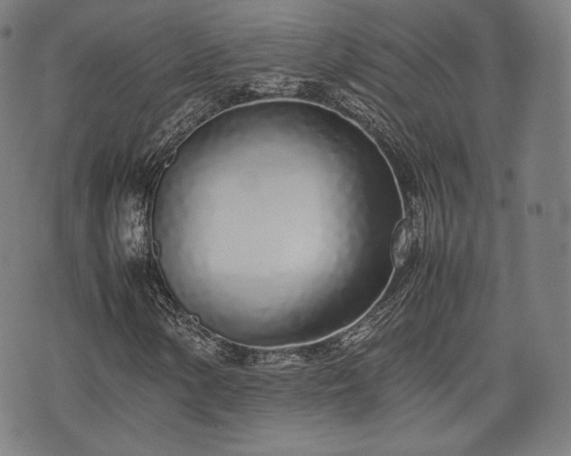 X0000075331154200609151439