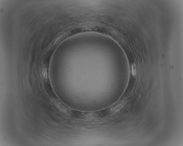 X0000075331155200609151439