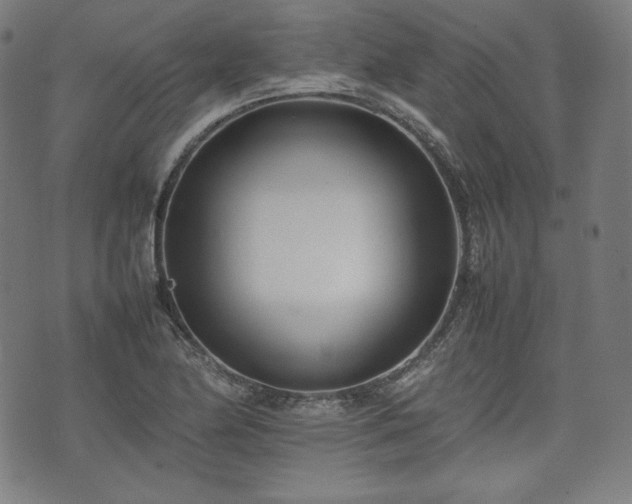 X0000075331174200609151438