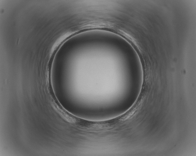 X0000075331179200609151438