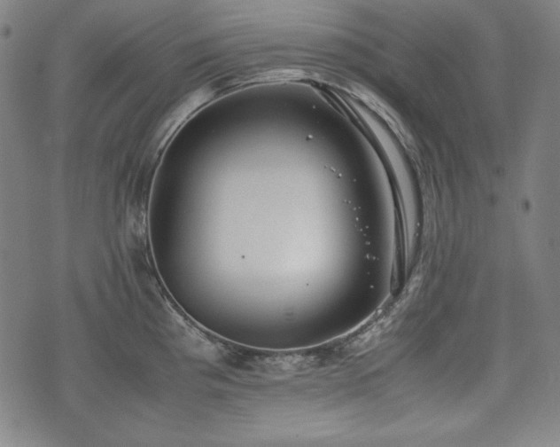 X0000075331193200609151438