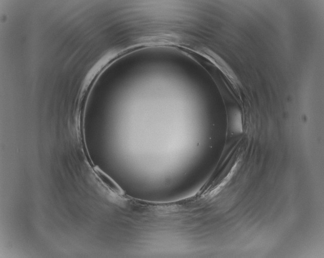 X0000075331196200609151438