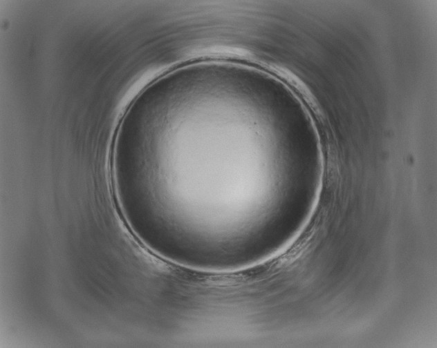 X0000075331199200609151438