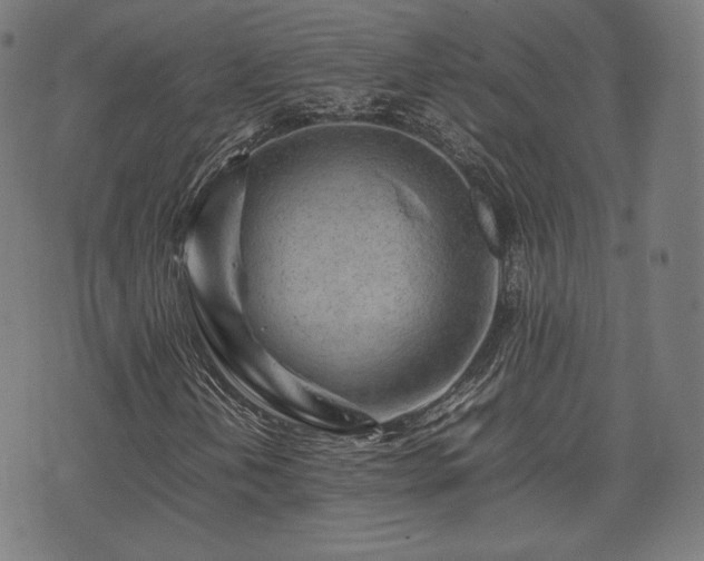 X0000075331202200609151437
