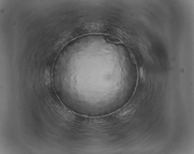 X0000075331203200609151437