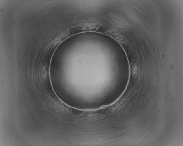 X0000075331204200609151437