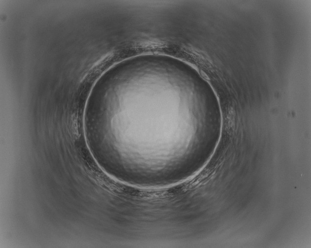 X0000075331205200609151437