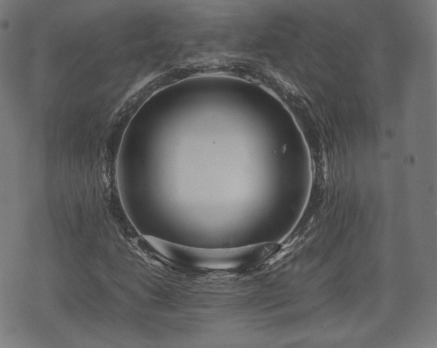 X0000075331206200609151437