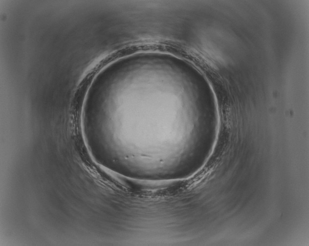 X0000075331208200609151437