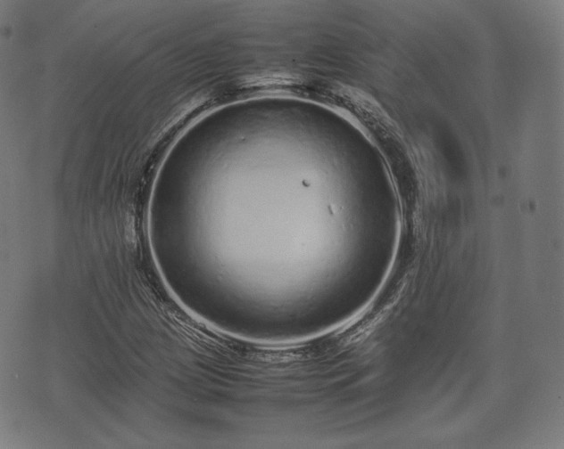 X0000075331209200609151437